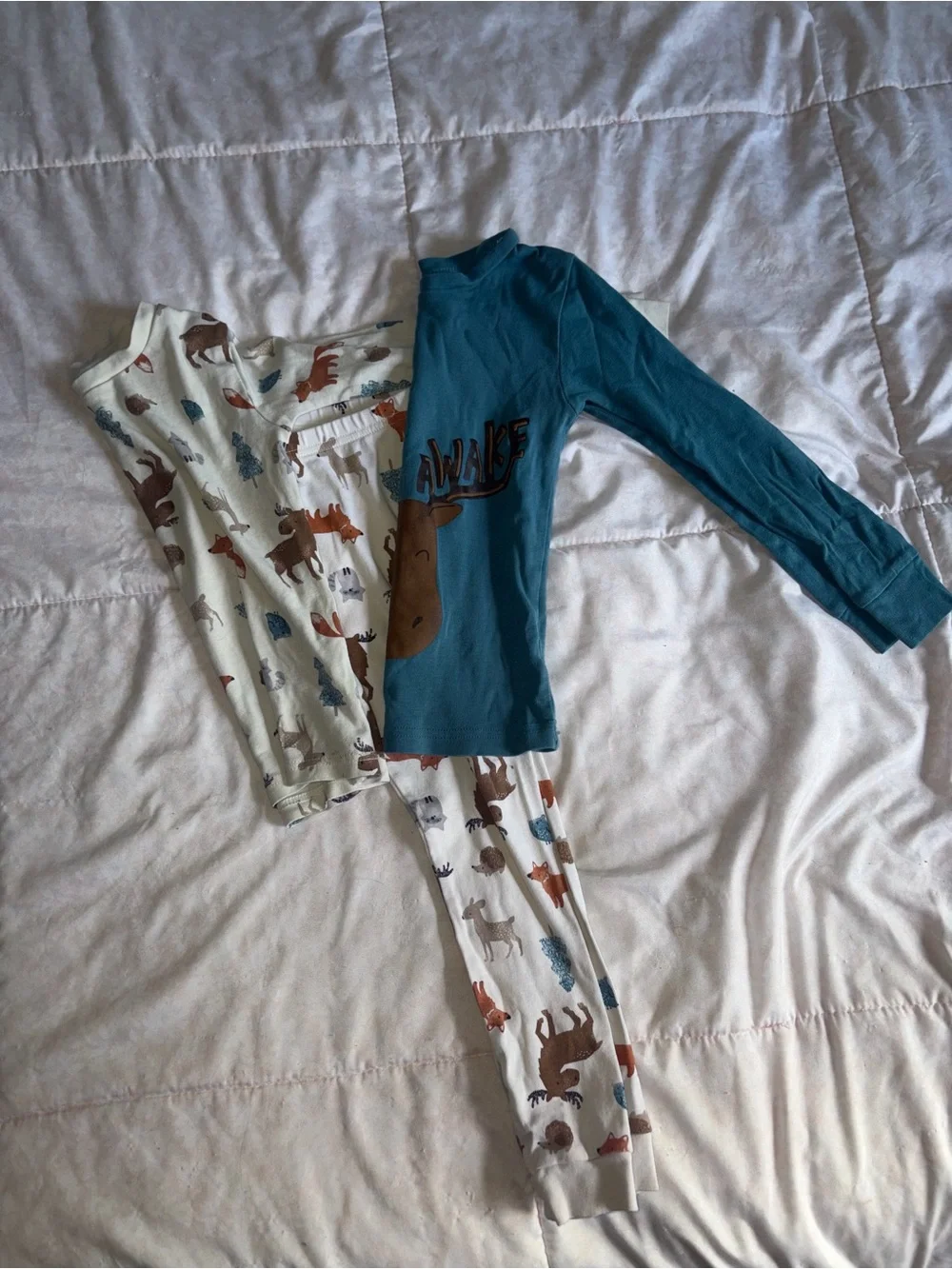 Boys Teal outdoorsy Graphic Pajama Set with Cream Woodland Print Pants